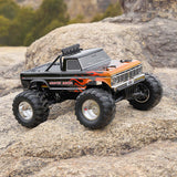 FMS 1:10 Ford F-100 2wd Brushless Monster Truck New Arrivals